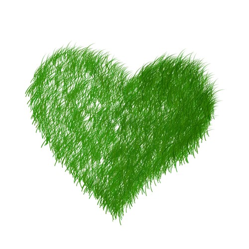 groen hart-500x500