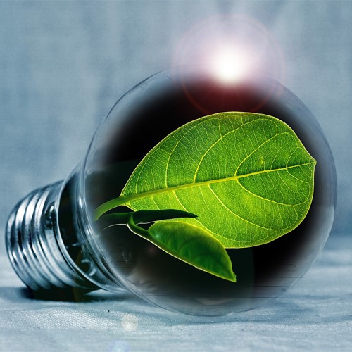 gloeilamp met groen blad-500