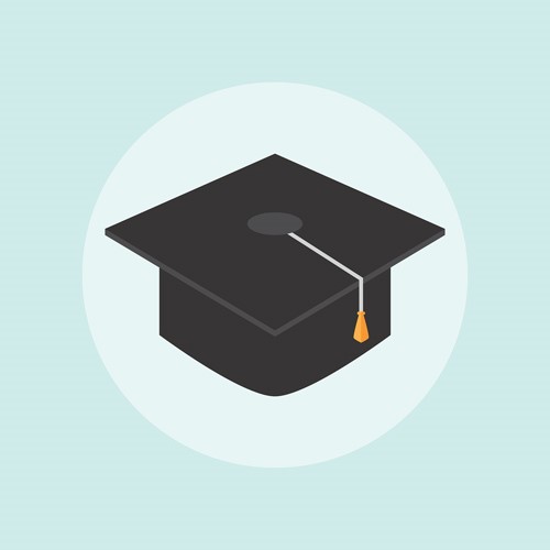 diploma - 500