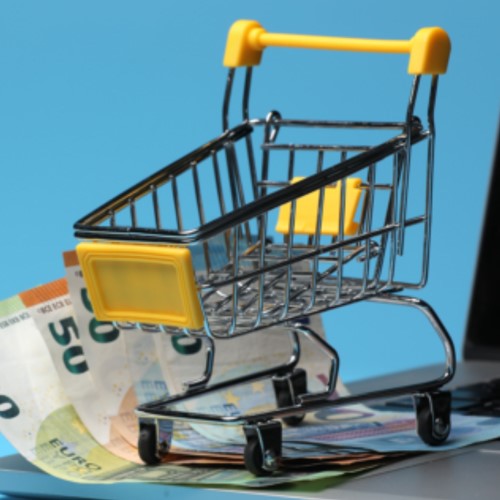 rendabel online ondernemen 500x