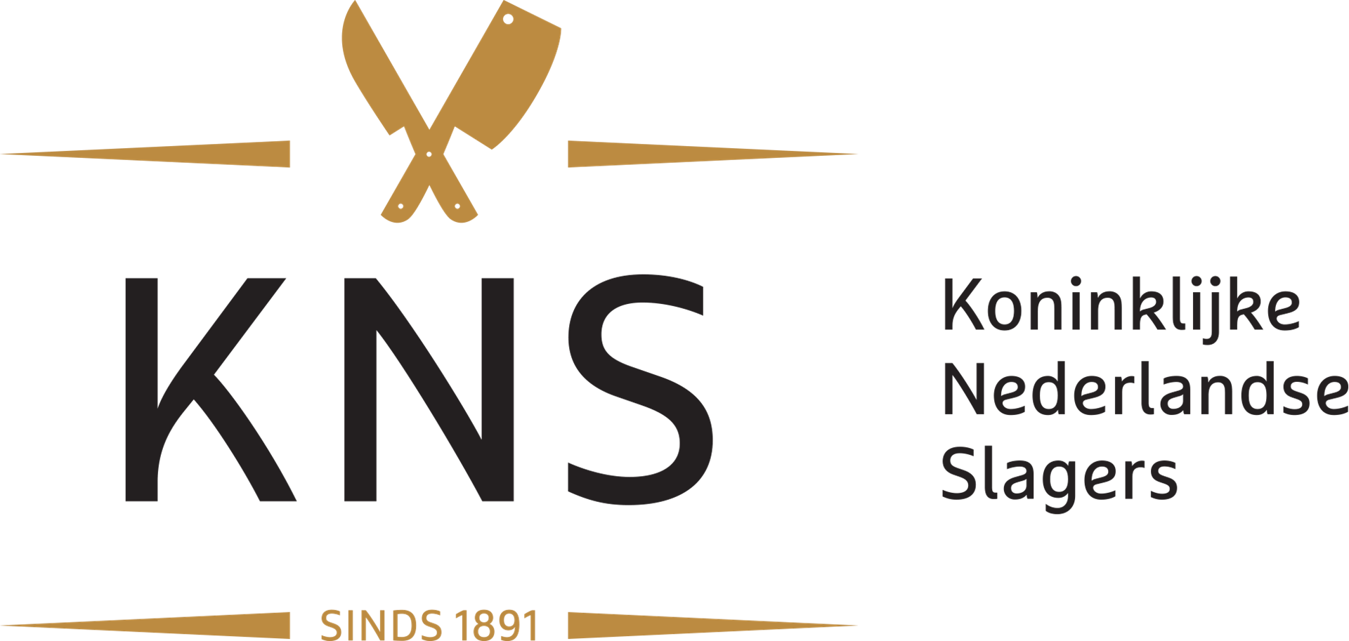 KNS_logo kleur