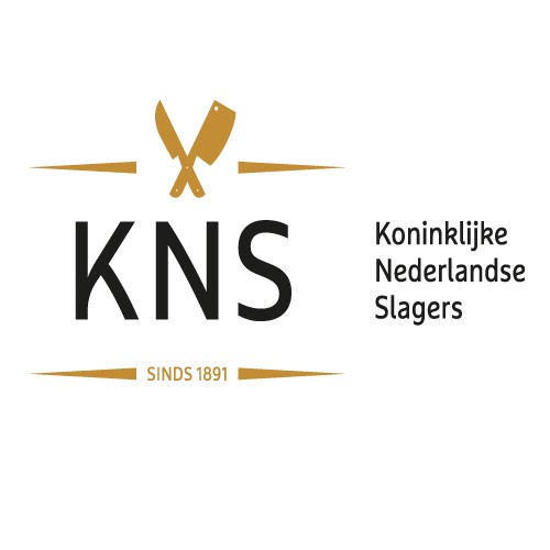 KNS logo 500x500