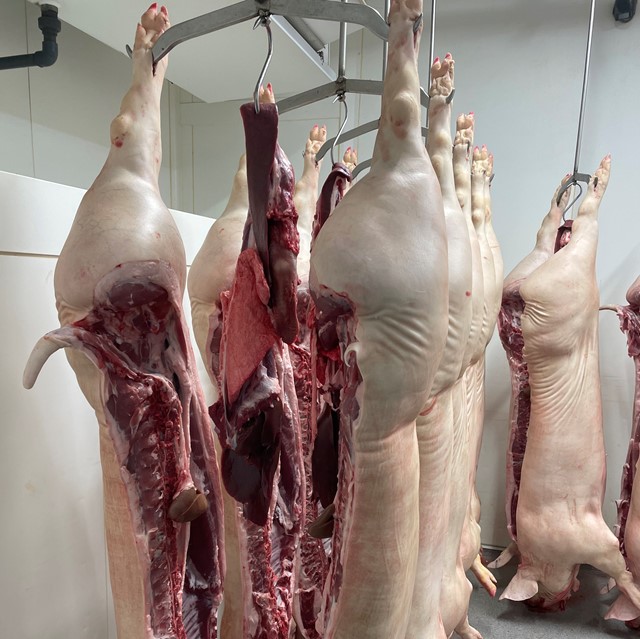 Bezoek aan Timmermans oktober 2021.jpg